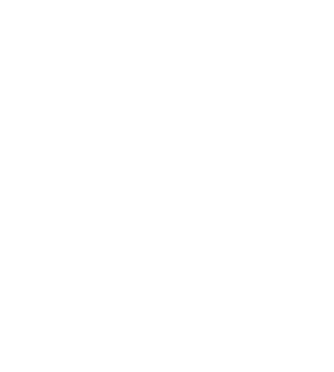 GoViral Agency